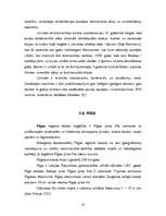 Referāts 'Baltijas jūras piekraste tūrisma maršrutos', 18.