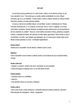 Referāts 'Krievu nacionālās virtuves īpatnības', 2.