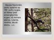 Prezentācija 'Gaujas Nacionālais parks', 17.