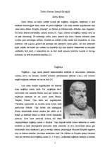 Referāts 'Teātris un mūzika Senajā Grieķijā', 5.