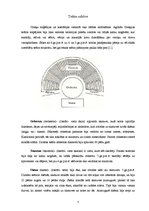 Referāts 'Teātris un mūzika Senajā Grieķijā', 7.