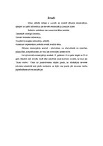 Referāts 'Sieviešu emancipācija jaunajos laikos', 2.