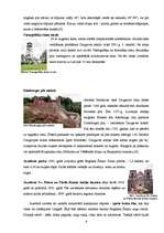 Referāts 'Aktīvā tūrisma projekts. Divu dienu maršruts', 6.