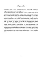 Biznesa plāns 'Biznesa plāns. SIA "Hummy gummy pen"', 6.