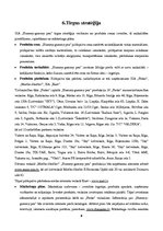 Biznesa plāns 'Biznesa plāns. SIA "Hummy gummy pen"', 8.