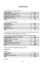 Biznesa plāns 'Biznesa plāns. SIA "Hummy gummy pen"', 10.