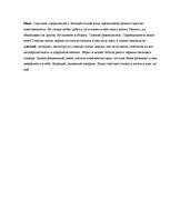 Eseja 'Интервью на тему: испытание морем', 10.