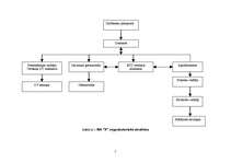 Prakses atskaite 'Prakses atskaite mārketingā', 5.