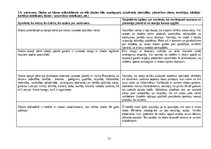 Prakses atskaite 'Studenta dienasgrāmata Skolotāja praksei I', 13.