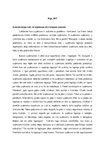 Eseja 'Komunikācijas kodi kā uzņēmuma tēlu veidojošs elements', 2.