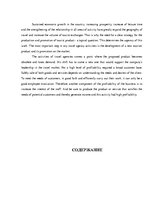 Referāts 'Исследование особенностей туроператорской деятельности', 2.
