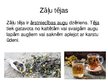 Prezentācija 'Garšaugu apstrāde, zāļu tēju ražošana', 5.