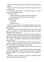 Konspekts 'Ieņēmumu un izdevumu uzskaite', 1.