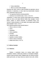 Diplomdarbs 'Vadīšanas procesi Rīgas 208.pirmsskolas izglītības iestādē un to pilnveidošanas ', 6.