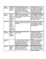 Konspekts 'Āda. Ādas slimības. Pirkstu nospiedumi', 2.