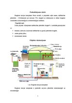 Referāts 'Biogāzes ražotnes koģenerācijas stacijas automatizācijas sistēmas', 7.