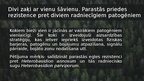 Prezentācija 'Koksnes īpašību ģenētiskā nosacītība eglei', 11.