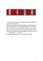 Referāts 'A/s "Cēsu alus" tirgus izpēte', 11.