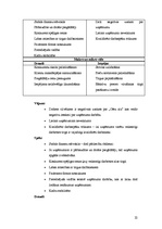 Referāts 'A/s "Cēsu alus" tirgus izpēte', 22.