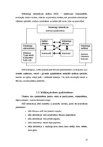 Referāts 'A/s "Cēsu alus" tirgus izpēte', 24.