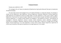 Paraugs 'Company Structure', 1.