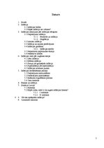 Referāts 'Inflācija', 2.