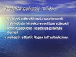 Prezentācija 'Projekts uzņēmumam', 4.