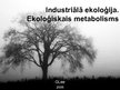 Prezentācija 'Industriālā ekoloģija. Ekoloģiskais metabolisms', 1.