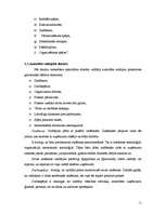 Referāts 'Vīrietis un sieviete vadītāja amatā', 11.