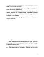 Referāts 'Vīrietis un sieviete vadītāja amatā', 18.