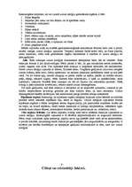 Referāts 'Pārtikas alerģijas', 7.