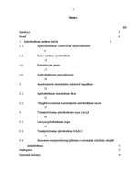 Diplomdarbs 'Autoapdrošināšanas vieta apdrošināšanas pakalpojumu tirgū', 5.