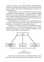 Diplomdarbs 'Autoapdrošināšanas vieta apdrošināšanas pakalpojumu tirgū', 10.