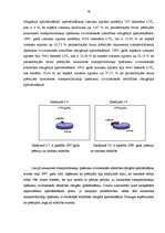 Diplomdarbs 'Autoapdrošināšanas vieta apdrošināšanas pakalpojumu tirgū', 56.