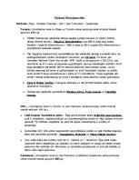 Konspekts 'Tūrisms pa trīs Ziemeļamerikas valstīm', 1.