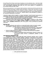 Konspekts 'Zeme, pasaules attīstības globālās problēmas', 2.