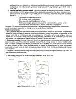Konspekts 'Zeme, pasaules attīstības globālās problēmas', 5.