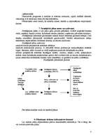 Konspekts 'Plānošana', 4.