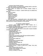 Konspekts 'Plānošana', 5.