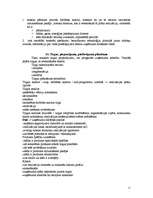 Konspekts 'Plānošana', 11.