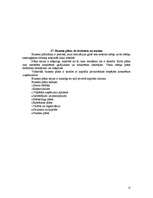 Konspekts 'Plānošana', 13.