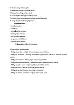 Diplomdarbs 'Sociālā pedagoga darbība mobinga mazināšanā vispārizglītojošā skolā', 9.