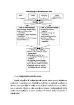 Diplomdarbs 'Sociālā pedagoga darbība mobinga mazināšanā vispārizglītojošā skolā', 35.