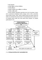 Diplomdarbs 'Sociālā pedagoga darbība mobinga mazināšanā vispārizglītojošā skolā', 36.