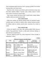 Referāts 'Krāsas mājoklī', 3.