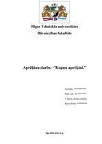 Konspekts 'Aprēķina darbs būvmehānikā. Kopnes aprēķins', 1.