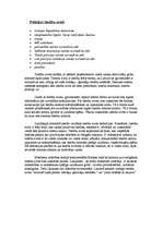 Konspekts 'Policijas darbinieku tiesības izmantot šaujamieročus. Policijas tiesību avoti', 4.