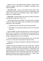 Konspekts 'Valūtas kursa būtība un tā klasifikācija', 8.