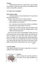 Referāts 'Atkarība no smēķēšanas', 10.