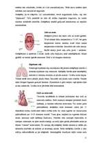 Referāts 'Atkarība no smēķēšanas', 11.